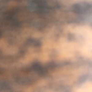 Meet your Posher, Nikki